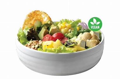 Bowl Salad Fish Menu Vegetarian Medley Fresh