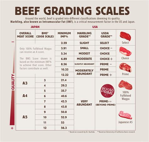 What Is Wagyu Beef Marbling