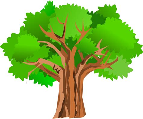 Collection Of Tree Png Vector Pluspng