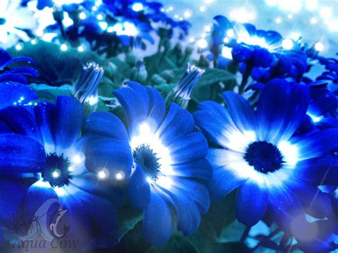 Blue Flowers By Aquacow Oknghage On Deviantart