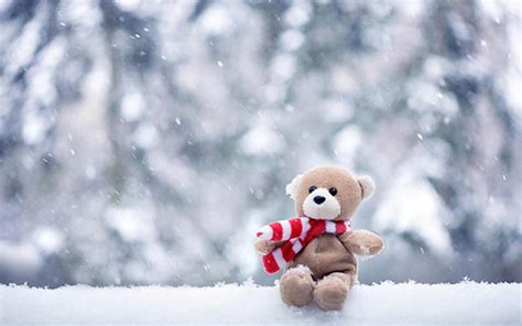 Free Download Winter Pic Wallpaper High Definition High Quality