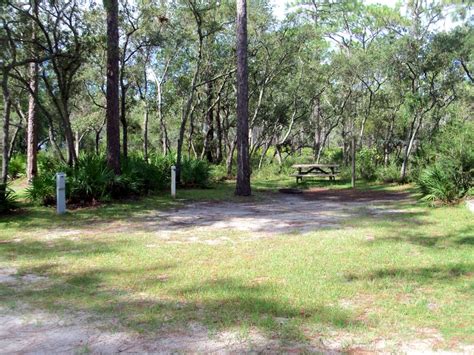Traveling With The Longdogs Camping At Ochlockonee River State Park