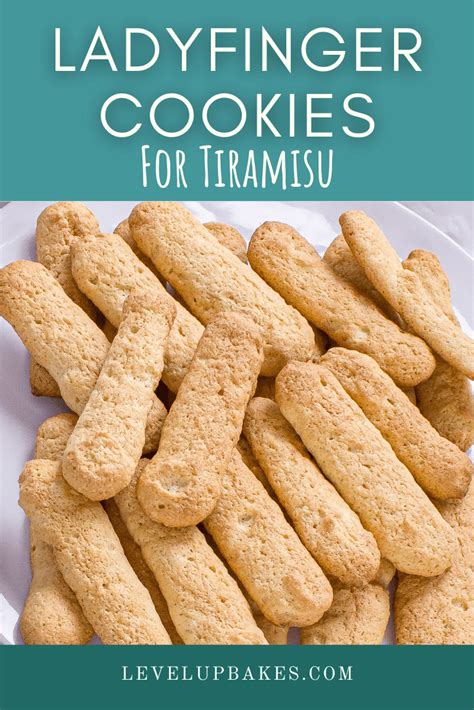 Whether Youre Making Ladyfingers As A Dessert Cookie Or For A Tiramisu Recipe This One Is Q