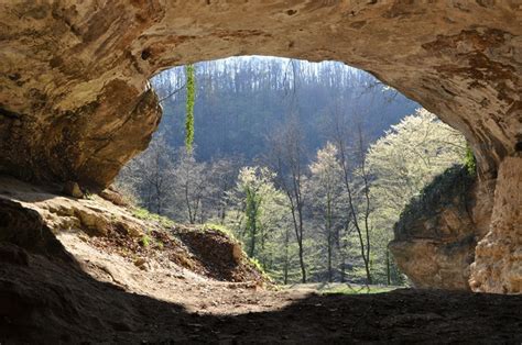 Erbgut Aus Der Vindija Höhle Bringt Noch Mehr Neandertaler Spuren Im