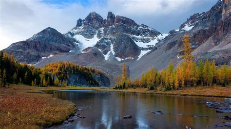 🥇 British Columbia Canada Larch Mount Assiniboine Canadian Rockies