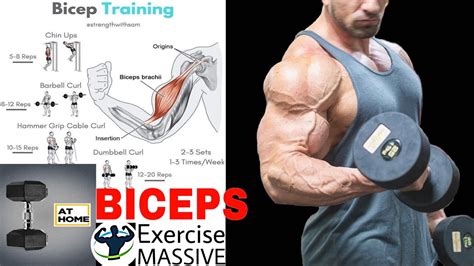 Biceps Workout At Home With Dumbbells And Rod Workout From Home