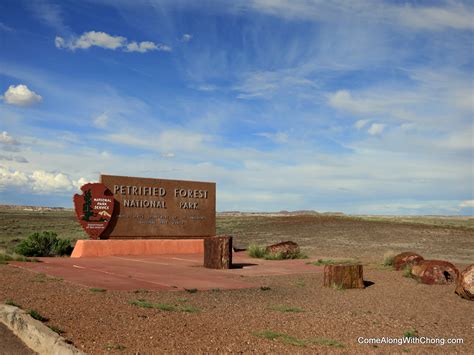 Come Along With Chong Tour Of Petrified Forest National Park