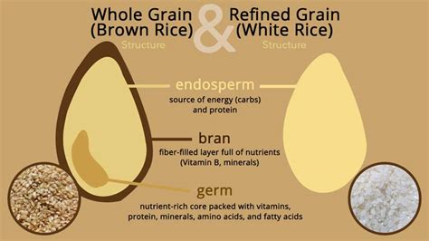 brown rice vs white rice which one is healthier