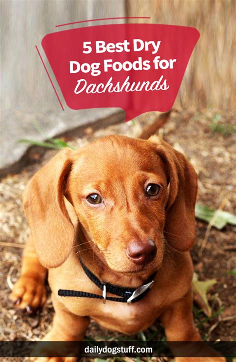 Includes detailed review and star rating for each choosing the best food for your puppy is one of the most important decisions you can make. 5 Best Dry Dog Foods for Dachshunds | Daily Dog Stuff