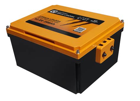 Liontron Lithium Lifepo4 Batterie Akku 12 Volt Smart Bms