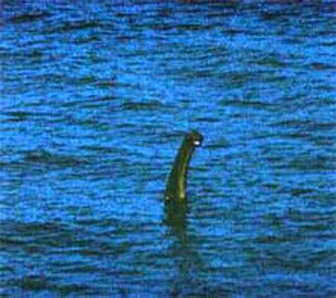 Loch Ness Monster Photo Of ‘big And Fast Nessie Near Urquhart Castle