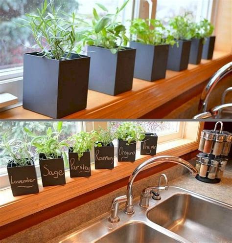 The Best Indoor Herb Garden Ideas For Your Home And
