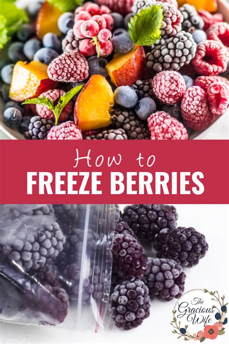 How To Freeze Berries The Gracious Wife