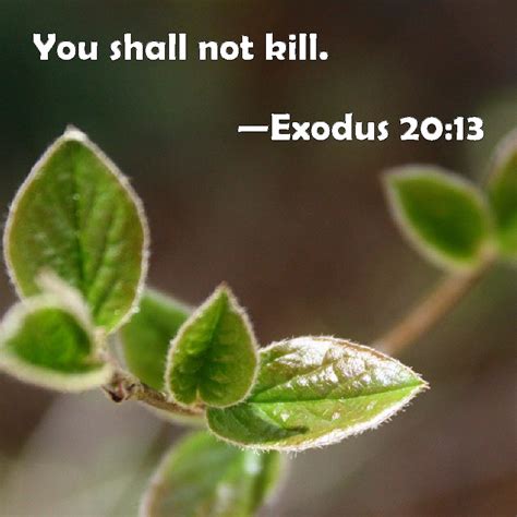 Exodus 2013 You Shall Not Kill