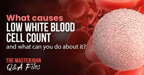 Can Fatigue Cause Low White Blood Cell Count