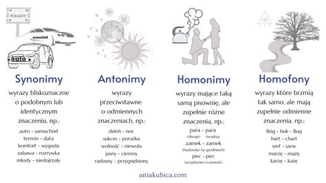 Synonimy, antonimy, homonimy, homofony - Język polski