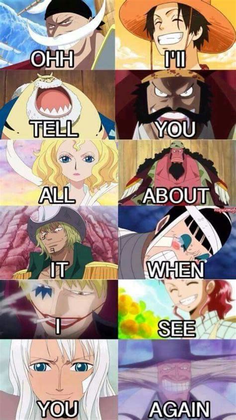 Pin By Cw96 On One Piece ～з ♥ One Piece Quotes One Piece Meme