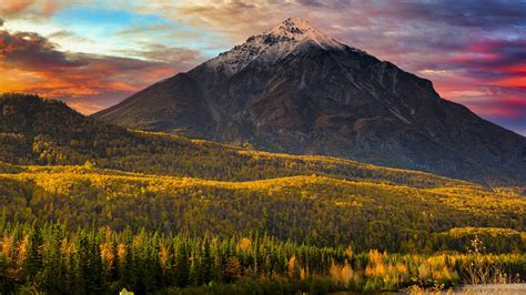 Alaska Fall Forest With Landscape View Of Mountain Under