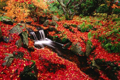 Stones Autumn Trees Viewes Leaf Waterfall Nice Wallpapers 2363x1575