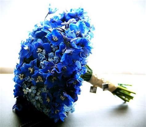Blue Fresh Flowers Wedding Flowers Photos Hi Res 720p Hd
