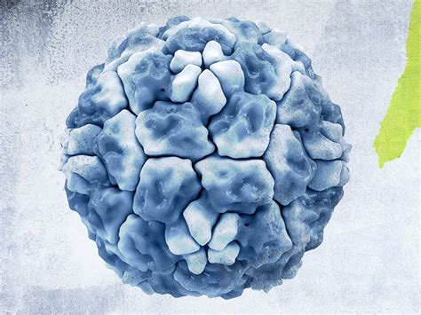 Could A Common Cold Virus Help Fight Covid 19