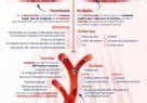Trombosis vs Embolia Infografía