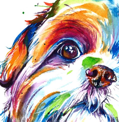 Colorful Shih Tzu Watercolor Print Art Print Of My Original Etsy