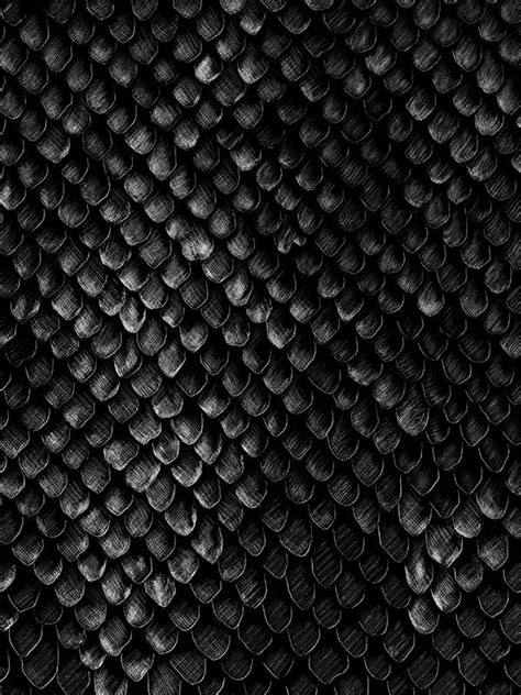 Black And White Photograph Of Scales On The Skin Of A Snake Or Reptiled