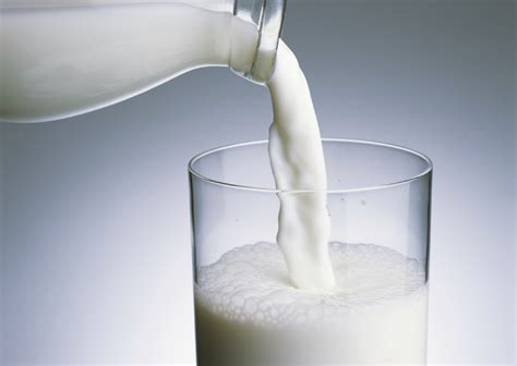 Camel milk is very good for increasing height, for brain development and overall growth of children. Stop Overeating For Weight Gain, Try Protein Shakes Instead