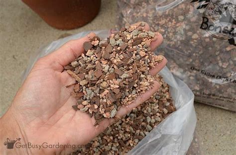 Learn how to correctly pot your plant and choose the it is good for plants that in nature spend their time in trees. Gritty Soil Mix For Succulents (Is It The Best Soil For ...