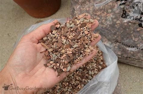 I buy black gold cactus/succulent mix, primarily because that's what my local garden center sells. Gritty Soil Mix For Succulents (Is It The Best Soil For ...