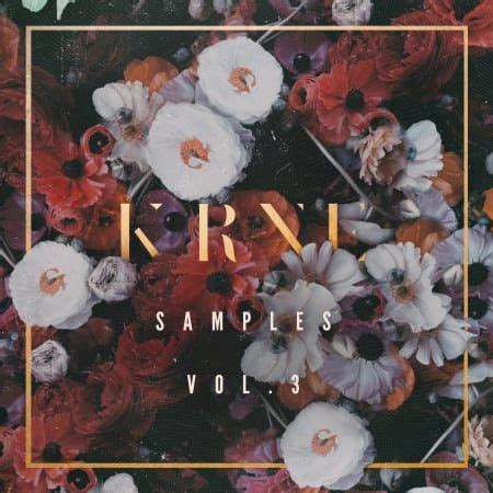 KRNE Samples Vol. 3 - Samples & Loops - Splice Sounds ...
