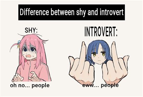 Difference Between Shy And Introvert Bocchi The Rock Know Your Meme