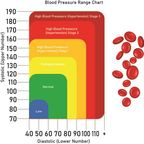 Blood Pressure Chart For Teen Girls