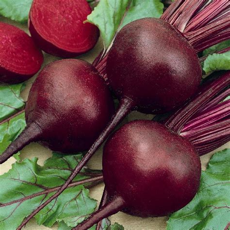 Detroit Dark Red Beet Seeds Red Beets Vegetable