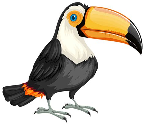 Toucan Bird Png Clip Art Image Art Images Clip Art Free Clip Art