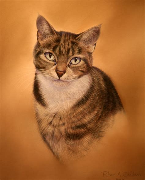 Ray S Cat Pastel Painting Sold Commissions Undertaken Cat Artwork