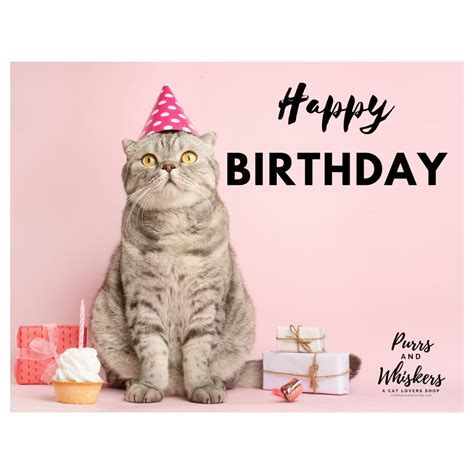 Birthday card with name, and birthday cards handmade ideas to help you make cards for friends or family. Cat Birthday Card - Purrs and Whiskers