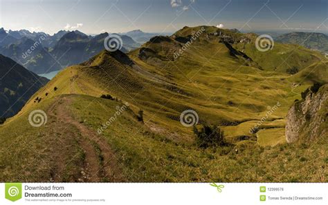 Fields And Meadows In Swiss Alp Stock Photo Image Of Blue Beautiful