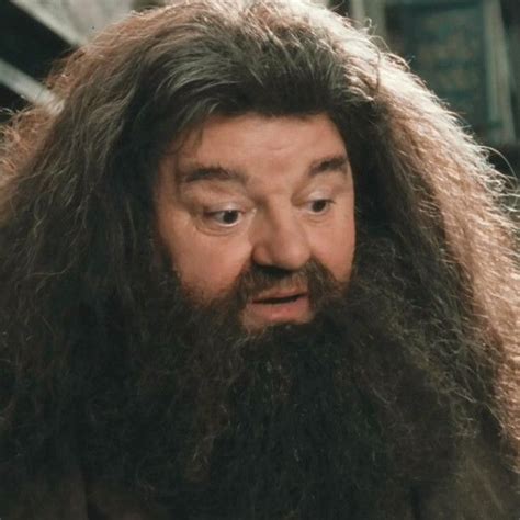 Rubeus Hagrid • ࿔ Rubeus Hagrid Harry Potter Icons Hagrid