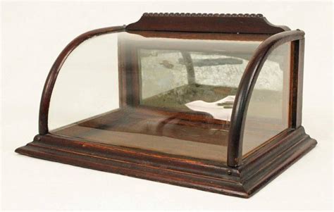 Curved Glass Oak Counter Top Gum Display Case Nov 19 2022 Kennedys