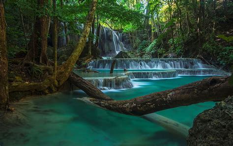 2024 Beautiful Waterfall Rainforest Cascade Of Waterfalls Jungle
