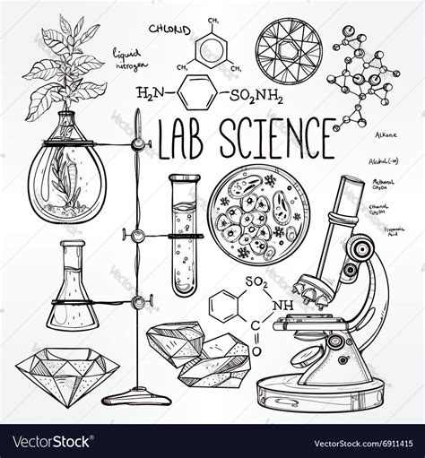 Hand Drawn Science Beautiful Vintage Lab Icons Sketch Set Vector