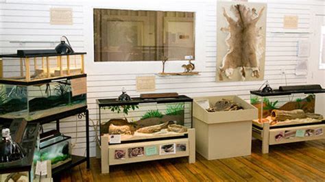 Maybe you would like to learn more about one of these? Activities - Welcome to Beaufort, SC - Beaufort.com