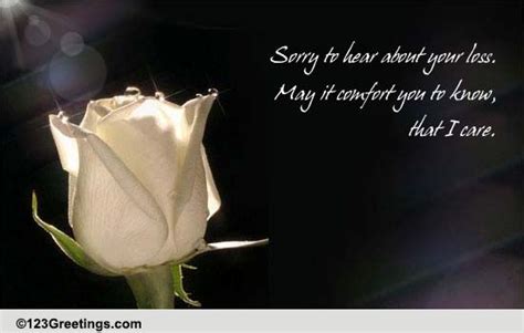 Sorry For Your Loss Free Sympathy And Condolences Ecards 123 Greetings
