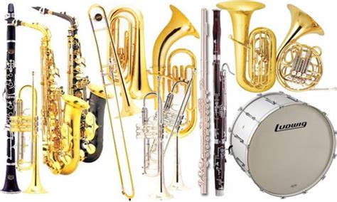 Choosing The Right Band Instrument For Your Child Spinditty