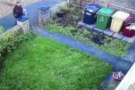 Yodel Delivery Driver Attempts An Unexpected Drop Off As She Is Seen