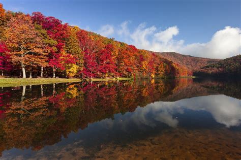 A Guide To Pennsylvanias Fall Foliage Willow Tree And Landscape