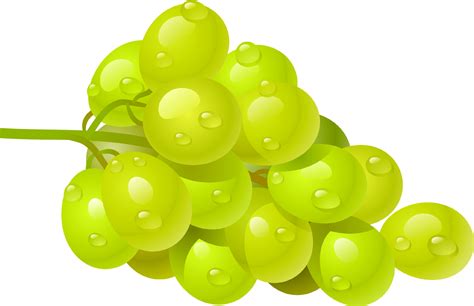 Grapes verde orgánico PNG imagen transparente PNG Mart