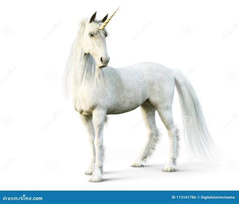 White Unicorn Horse Cartoon 33234003
